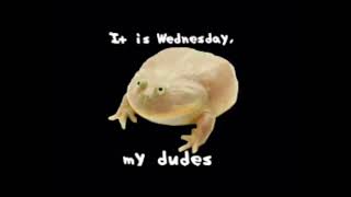 It is Wednesday my dudes