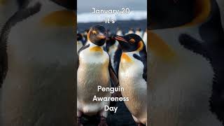 January 20 Penguin Awareness Day #january