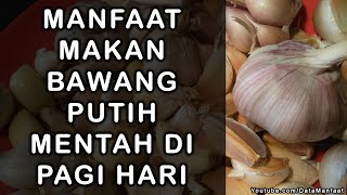 Manfaat Makan Bawang Putih Mentah Di Pagi Hari