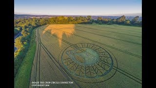 L’immagine di un “Alieno Grigio” nel Crop Circle comparso a Reigate Hill, nel Surrey (UK)