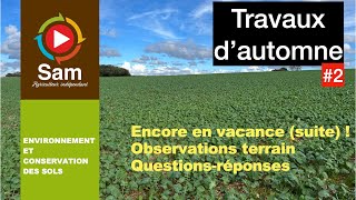 Troisième semaine de vacances (suite). Travaux d'automne #2. Observations et questions-réponses