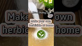 Make your own herbicide at home #plants #shortvideo #garden #youtubeshorts #howto #farming #video