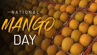 National Mango Day, celebrated on July 22 | Five interesting facts about Mangoes.