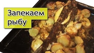 Запечь рыбу в духовке с сыром и картошкой. Рыба в духовке