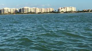 2017-1-1 Dolphin Sighting near Marco Island FL - IMG 3059