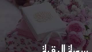 سورة البقرة. //القارىء أحمد حمادي