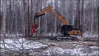 Запуск харвестера в Удмуртии