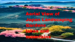 aerial view of Japan