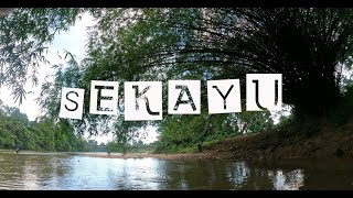 GANGSTER SEKAYU 4K HD