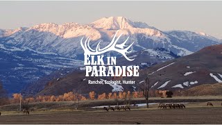 Trailer: Elk in Paradise: Rancher, Ecologist, Hunter