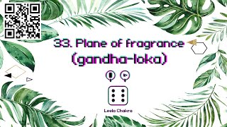 33. Plane of fragrance - Leela Chakra