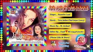 Tere Pyar Ki Main Deewani Yaara Tu Ne Kadar Na Jani || Naseebo Laal || Tera Jadoo Chal Gaya 2003