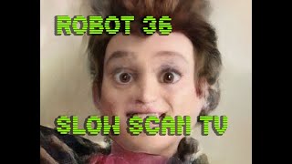 0103 Toonify SSTV Robot36