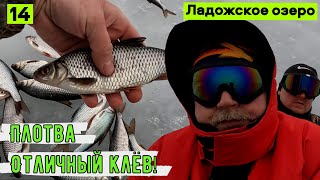 Зимняя рыбалка на ПЛОТВУ. Отличный КЛЁВ! Ладожское озеро. На мотобуксировщике по льду.