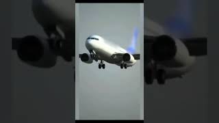 Viral Funny Videos Short Clips Compilation - If planes had feet - Video Cue