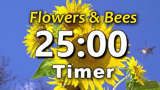 25 minute Timer | ⏰ Bell Alert | No Music | Sun Flowers Hummingbird | Big Numbers