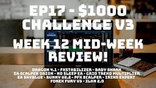 Week Twelve Mid-Week Review! - EP17 $1000 Challenge v3