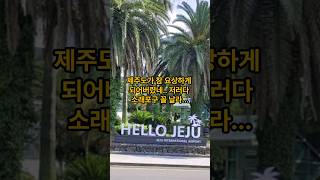 바가지 논란까지 생긴 제주도