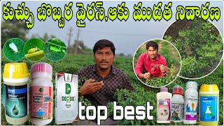 #కుచ్చు బొబ్బర వైరస్#ఆకు ముడత నివారణ|top best మందులు |#దోమ నివారణకు|#wilt control కోసం