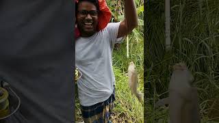 Best Fishing time at my Pond | Fishing Moment Best Moment