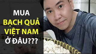 Bạch quả mua ở đâu không chất bảo quản ít đắng để nấu chè ngon | Bách Hóa Xe Lam