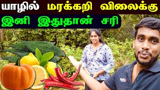 🔴 யாழில் எமது வீட்டுத்தோட்டம் 😮 | Home Garden Tour | Jaffna Vegetables & Flower Garden | Jaffna