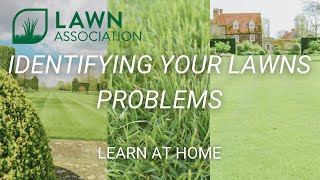 IDENTIFYING YOUR LAWNS PROBLEMS | Lawn Association