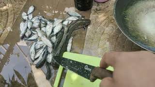 membuat pakan penggemukan kepiting bakau, murah dan semua bisa. (part 1)