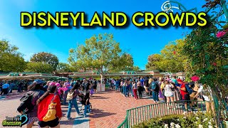 Disneyland Crowds & Updates from Around the Resort! Disneyland Resort This Week