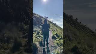 Pesona Keindahan Gunung Merbabu 3145mdpl #hiking#merbabu#merapi#shortvideo#fyp