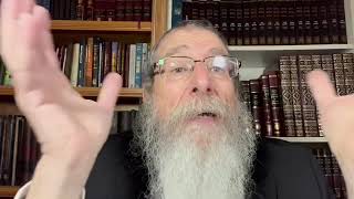 Was Moshiach in the Ark of Noah? By Rabvi Zushe Silberstein