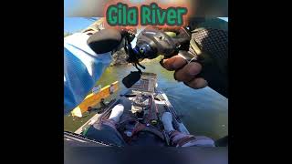 Gila River AZ - Fun Fishing #shorts #fishing #bass #kayakfishing #bassfishing