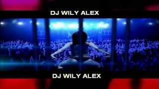 MIX PERROS SALVAJES Y HITS RUMBA 2013 DJ WILY ALEX