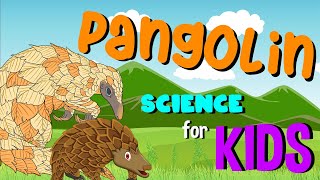 Pangolin | Science for Kids