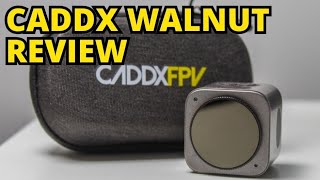 Hero 5 Session REPLACEMENT? | Caddx Walnut Review | ITA 🇮🇹 | SUB ENG 🇬🇧