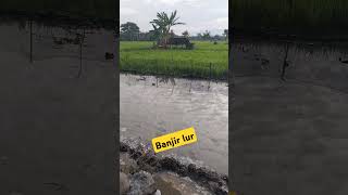 Banjirr lur#banjirbandang #bencanaalam