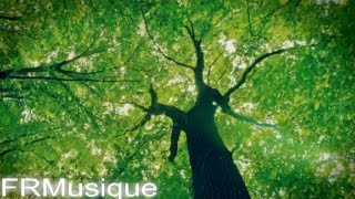 432 hz fréquence du bonheur - guérison du stress et l'anxiété endorphine et sérotonine