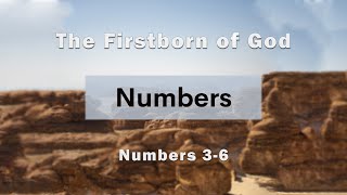 The Firstborn of God (Numbers 3-6)