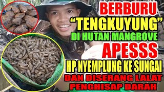 PETUALANGAN MENCARI TENGKUYUNG/SIPUT (TENGKUYUNG SEDOT) DI HUTAN MANGROVE_ADVENTURE_SEA FOOD_