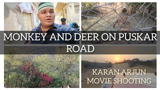 JUMMA IN AJMER SHARIF / PUSKAR / KARAN ARJUN MOVIE SHOOTING PLACE / MUMBAI TO AJMER VIA DELHI PART 6