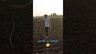 تتوقو التعبان عمل إيه فجوزى 😭 فين الايك🪱 بقيت الفيديو هنا 👍