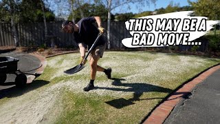 First mow and light top dress after front lawn mini reno // 6 months weed prevention on back lawn