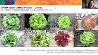 Lettuce! Webinar / Laitues! Séminaire en Ligne