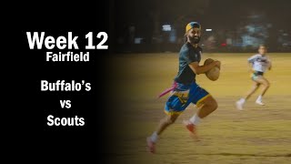 Buffalo's vs SCOUTS - Fairfield Tuesday Oztag MIXED Div 1 - Week 12