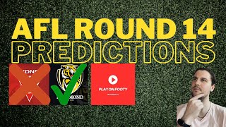 AFL 2024 Round 14 Predictions