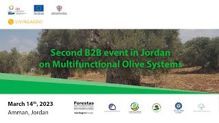 Multifunctional Olive Systems English