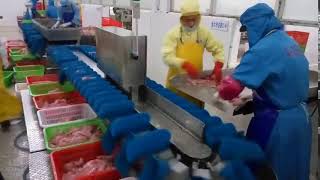 How to sort fresh chicken by machine?