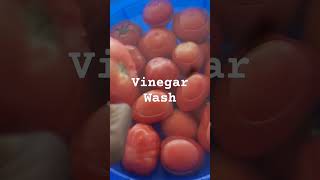 Fruit and Vegetable Wash with Vinegar