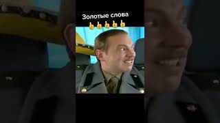 Вася задов