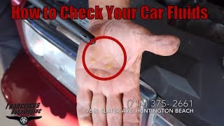 How to check your Car fluids